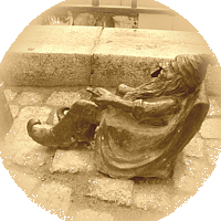 szkolenia